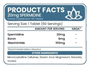 Spermidine Wheat Germ (20mg) | 60 Tablets - Fertility, Anti-Aging & Reproductive Health Support, Easy to Swallow
