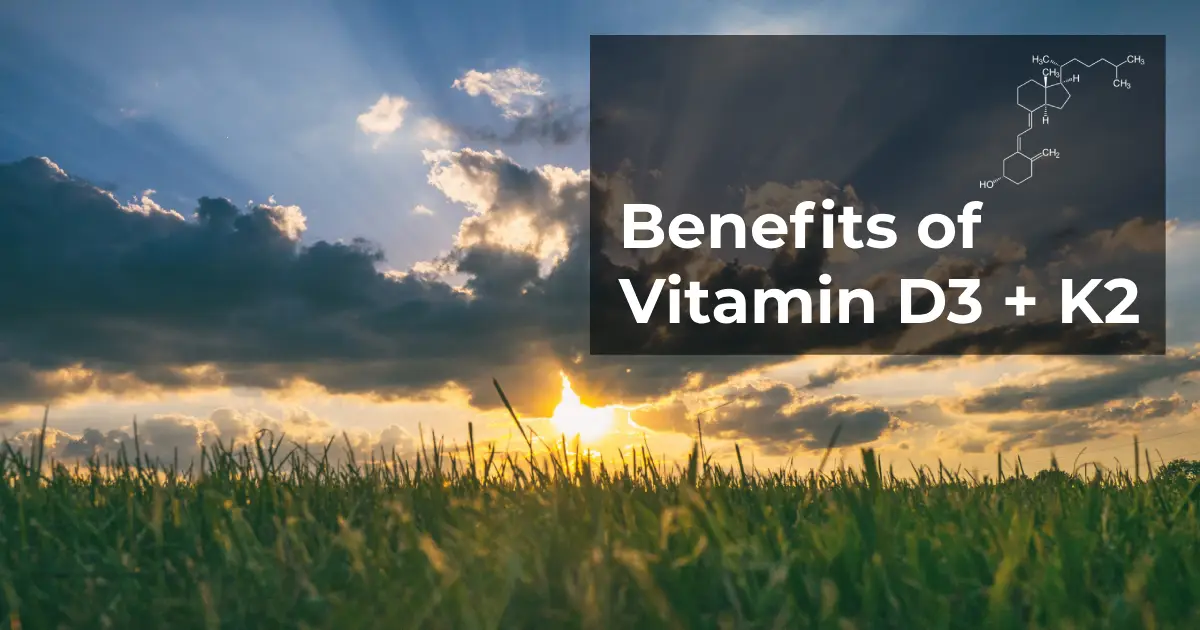 Unveiling the Synergistic Power of Vitamin D3 and K2 for Holistic Health