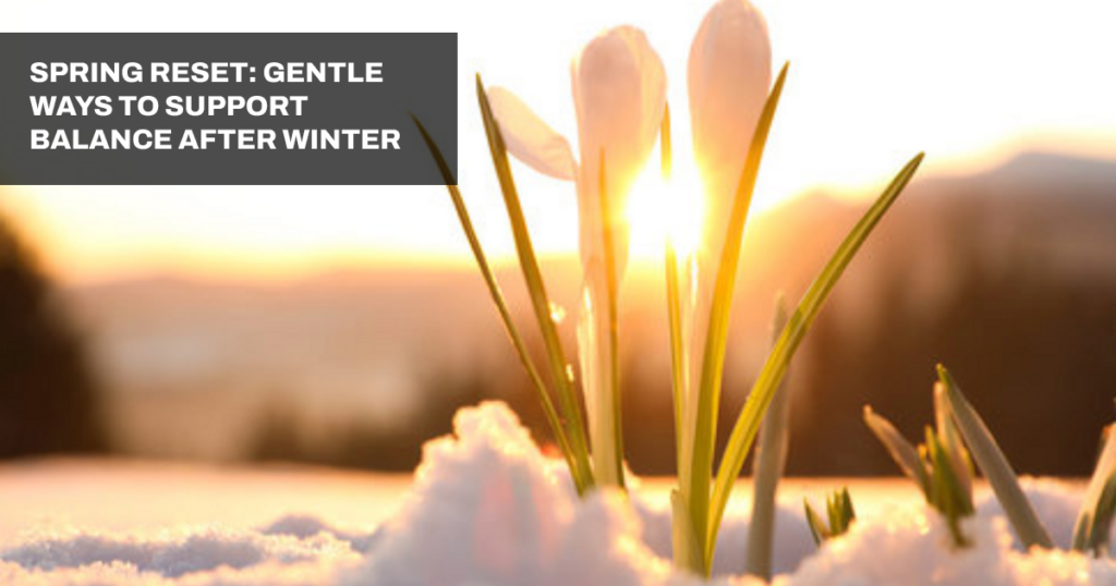 Soft sunlight shines through pale crocus flowers emerging from snow, symbolizing the transition from winter to spring. Overlay text reads: ‘Spring Reset: Gentle Ways to Support Balance After Winter.